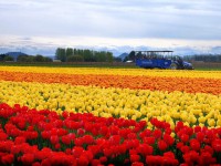 /album/paisagens/papel-de-parede-de-paisagens-1-jpg/